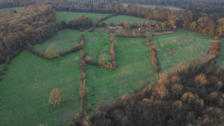 An aerial view of Dovedale Farm space before the 12,191 trees have been planted